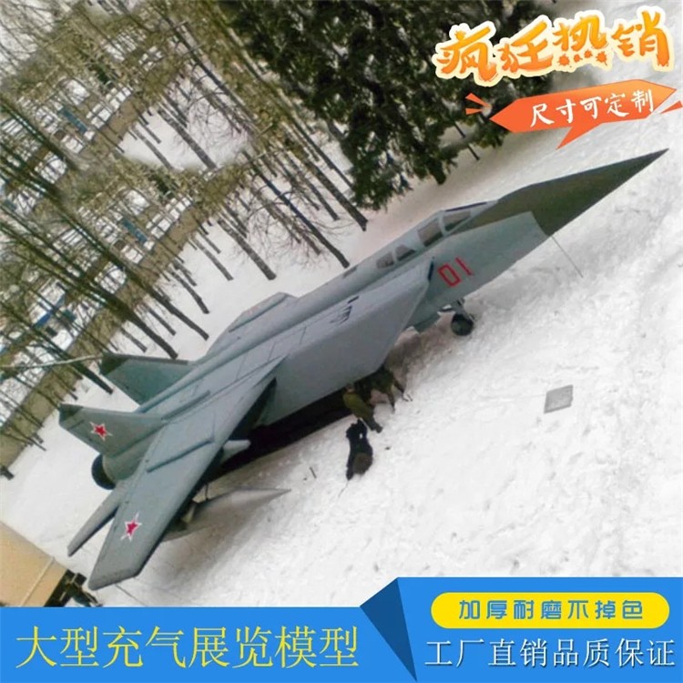 丰泽充气飞机气模厂家